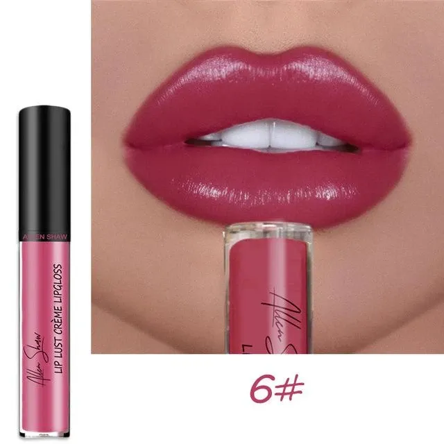 2021 NEW Glossy Long-lasting Liquid Lipstick