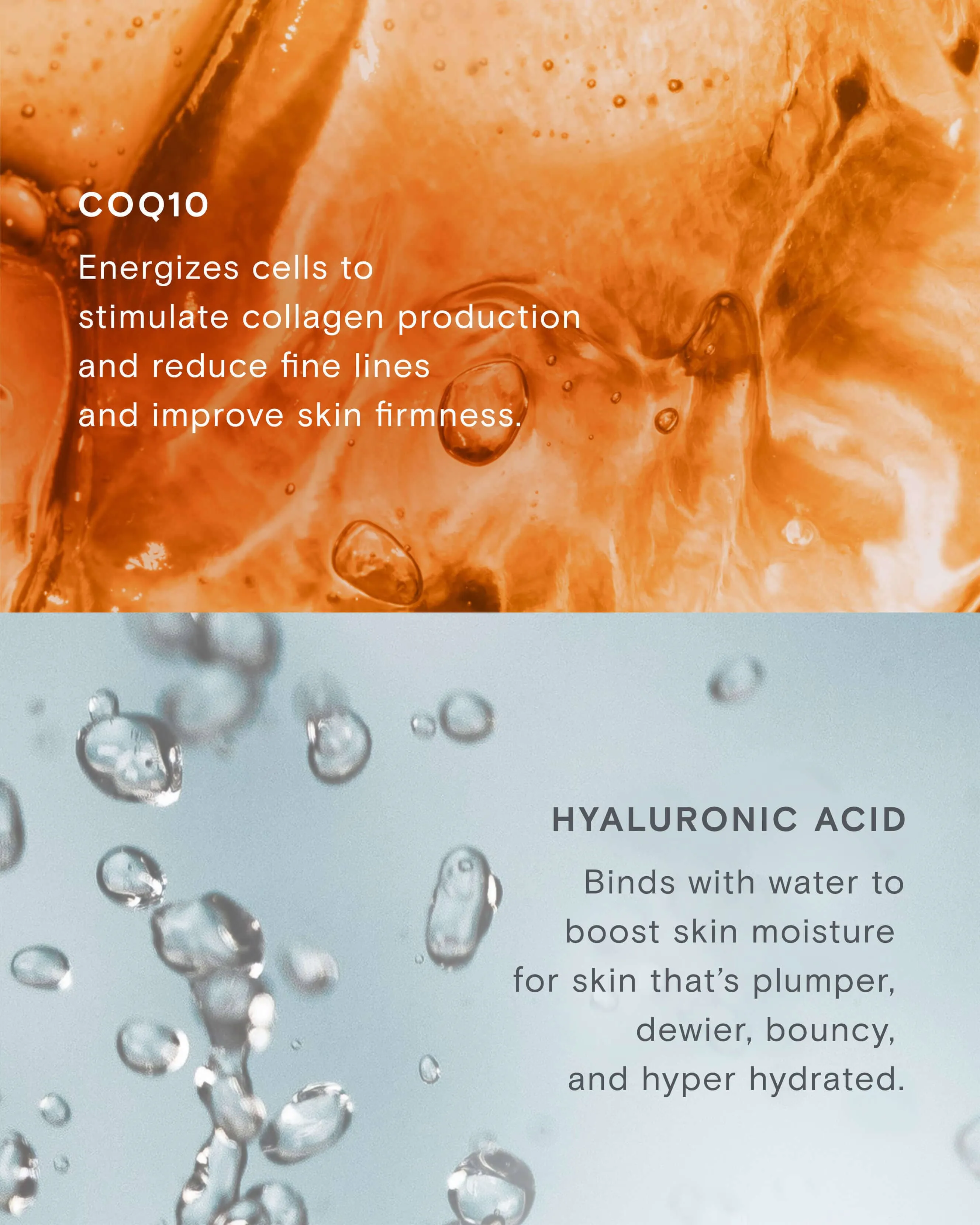 Firming Filter CoQ10 Antioxidant Powder Serum & Refill