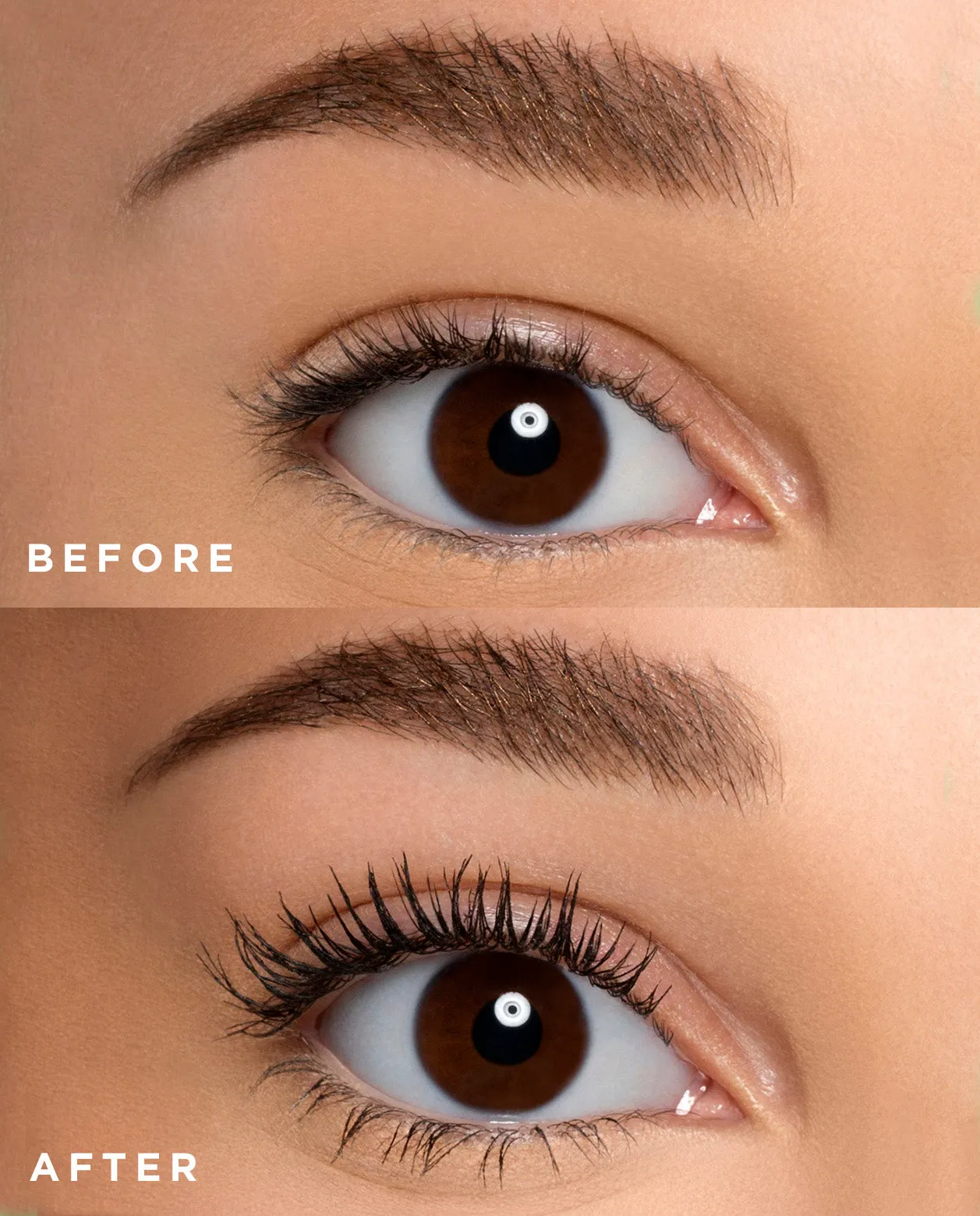 Three Pack | Lash Next Door Mascara